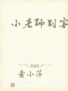 小老师别害羞封面