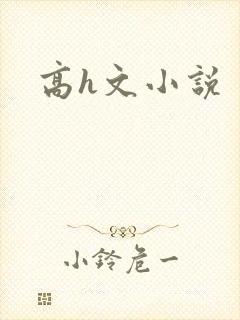 高h文小说