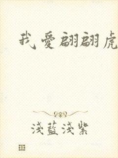 我爱翩翩虎少封面