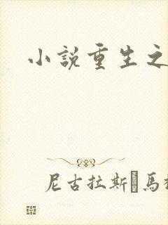 小说重生之官道封面