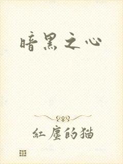 暗黑之心封面