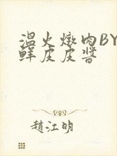 温火炖肉BY海鲜皮皮酱