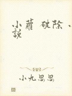 小萝 破除 小说