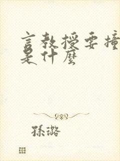 言教授要撞坏了是什么