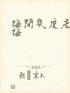 梅开几度老周张梅封面