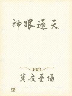 神眼通天封面