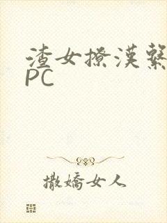 渣女撩汉系统NPC