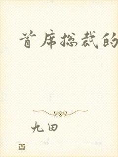 首席总裁的逃妻