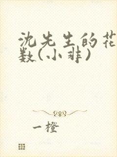 沈先生的花式调数(小非)