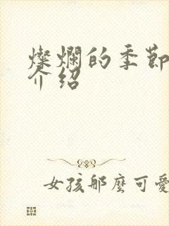 灿烂的季节剧情介绍