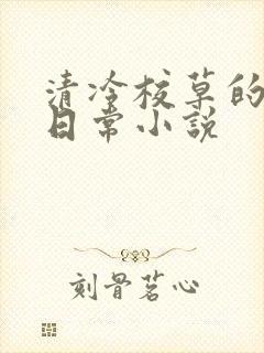 清冷校草的堕落日常小说封面