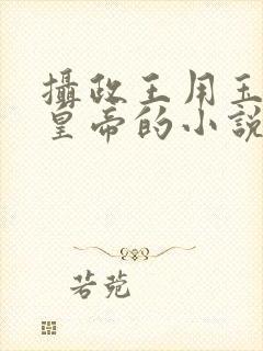 摄政王用玉髓整皇帝的小说