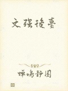 文强后台封面