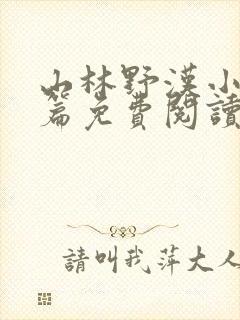 山林野汉小说全篇免费阅读