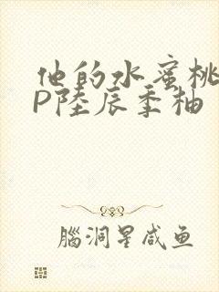 他的水蜜桃POP陆辰季柚