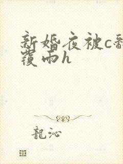 新婚夜被c翻云覆雨h封面
