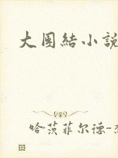 大团结小说阅读