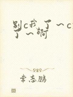 别c我了～c烂了～啊封面