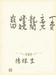 巅峰龙主丁长顺田晓兰免费阅读