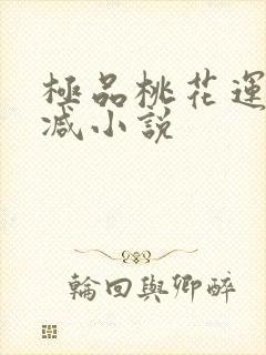 极品桃花运未删减小说