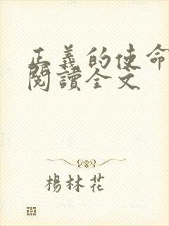 正义的使命免费阅读全文