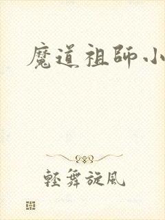 魔道祖师小说