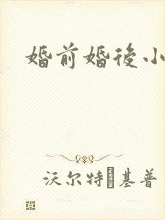 婚前婚后小说