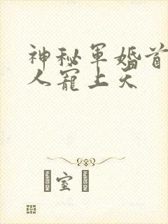 神秘军婚首长大人宠上天封面