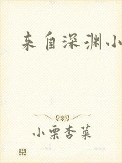 来自深渊小说