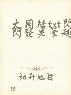 大团结txt闪闪发光笔趣阁