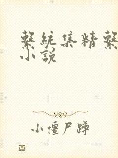 系统集精系统 小说