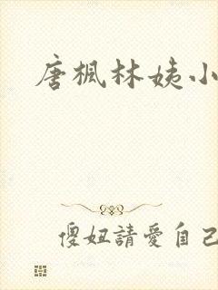 唐枫林姨小说封面