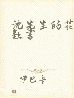 沈先生的花式调数书封面