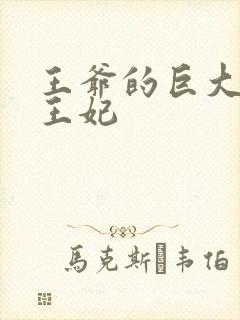 王爷的巨大进入王妃