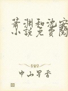 萧渊和沈安安的小说免费阅读