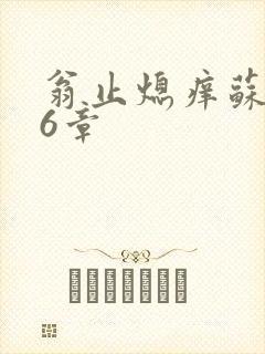 翁止熄痒苏玥第6章