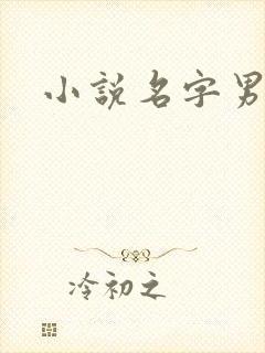 小说名字男生