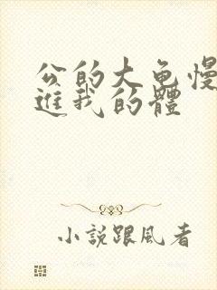 公的大龟慢慢挺进我的体