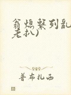 翁熄系列乱 (老扒)