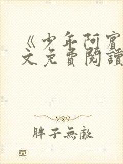 《少年阿宾》全文免费阅读封面