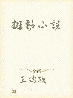 挺动小说