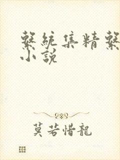 系统集精系统 小说