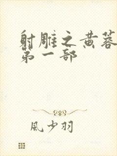 射雕之黄蓉新传第一部封面