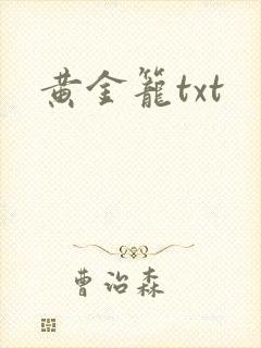 黄金笼txt