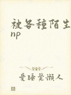 被各种陌生人 np