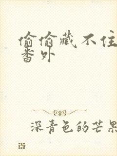 偷偷藏不住新婚番外