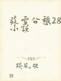 苏雪公憩28篇小说