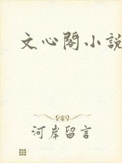 文心阁小说封面