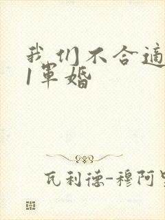 我们不合适1v1军婚封面