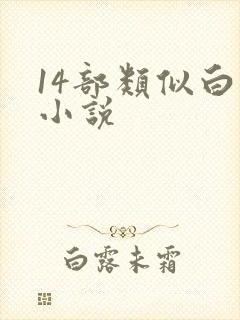 14部类似白洁小说